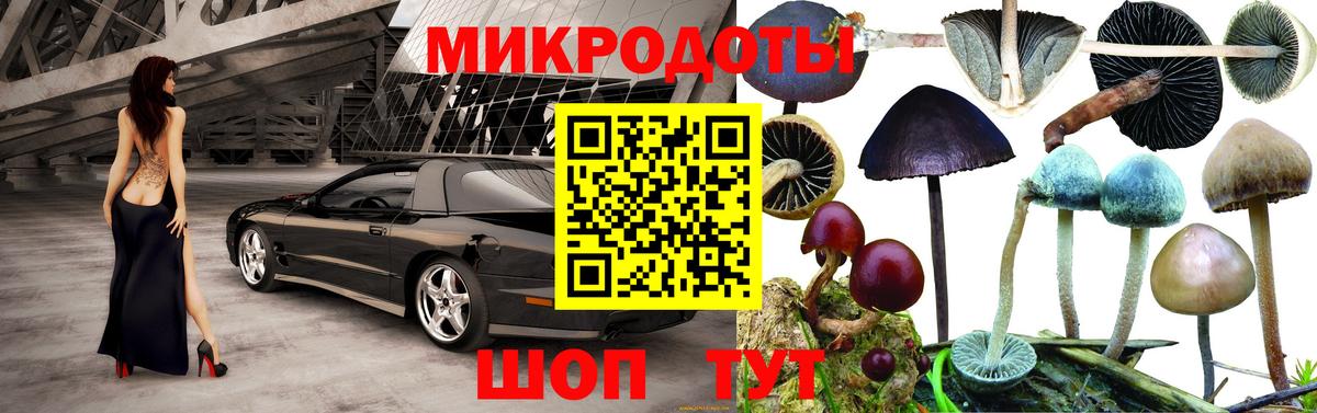 Галлюциногенные грибы Psilocybine cubensis Балаково