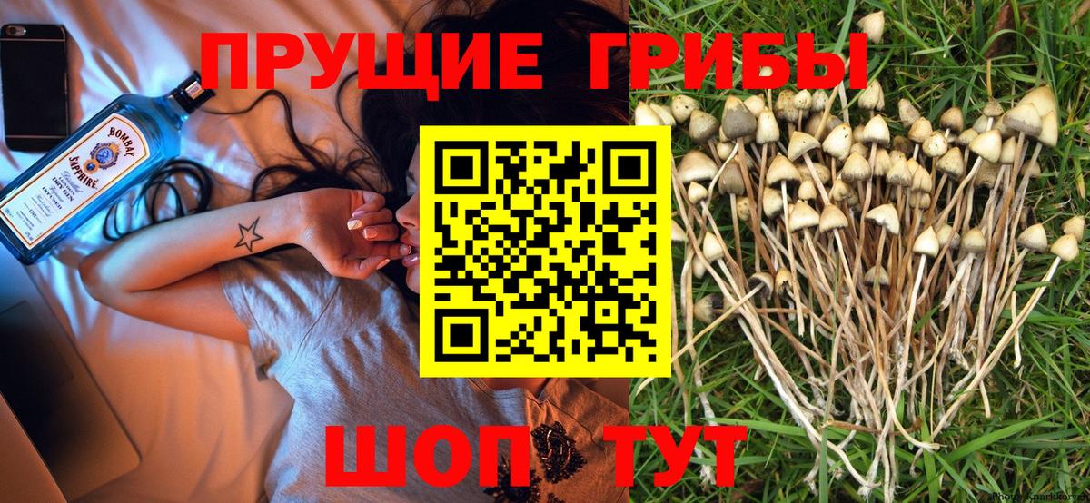 Галлюциногенные грибы Psilocybe  Галлюциногенные грибы Cubensis  Вход с VPN  цена наркотик  Балаково 
